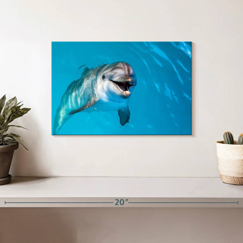 Brampt Dolphin's Smile, H 8 po x l 12 po