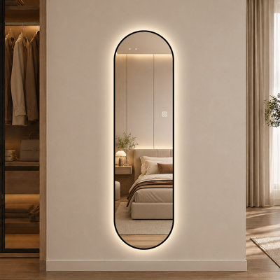 Miroir mural pleine longueur à DEL dimmable en forme de capsule de 65 po x 18 po avec cadre noir
