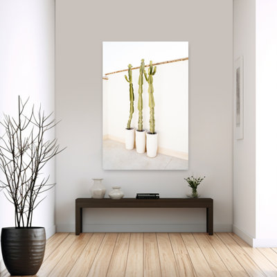 Cactus sur fond blanc minimaliste abstrait plante cactus paysage tropical