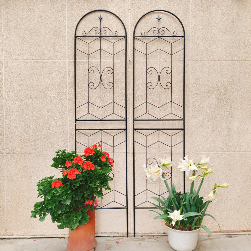 Ensemble de 2 treillis de jardin en métal, H 86,7 po x l 19,7 po x P 0,5 po