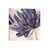 Toile tendue sélectionné