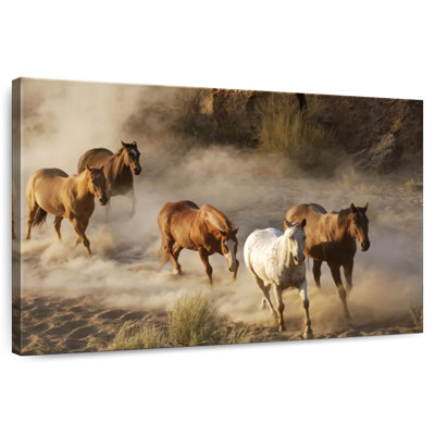 Galloping Wild Horses