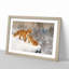Two Foxes by Bruno Liljefors - Picture Frame Painting-62792555-62792561