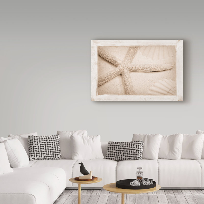 «Starfish, Shells and Sand», reproduction de photo sur toile tendue, 16 po x 24 po