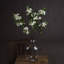 Mock Arrangement