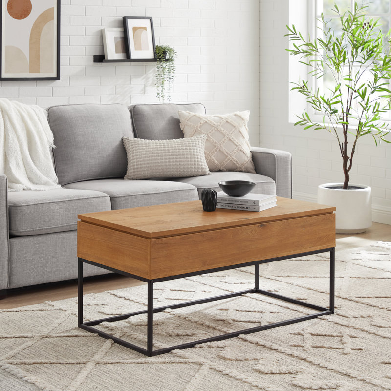 Stoltz 40" Lift Top Coffee Table with Storage