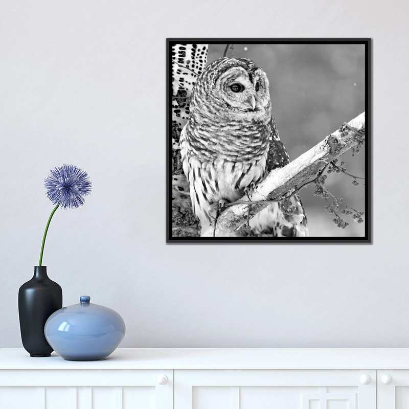 White Owl par PhotoINC Studio - Toile tendue avec châssis, H 18 po x l 18 po x p 1,5 po, Toile avec cadre noir, Pas de tapis