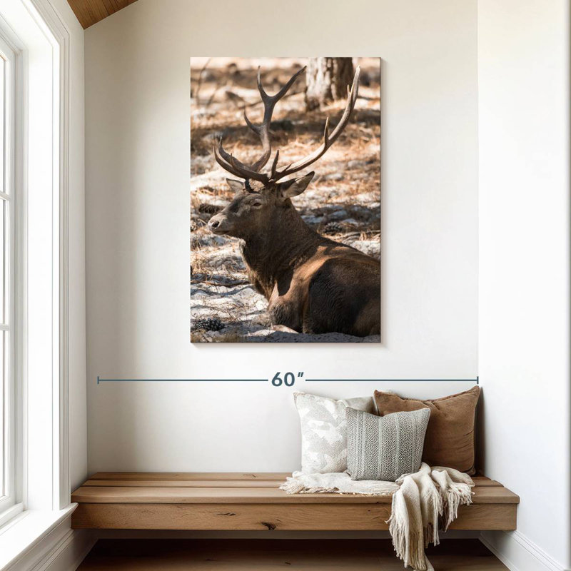Wapiti de Brampt, H 45 po x l 30 po