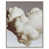 Silver Floater Frame selected