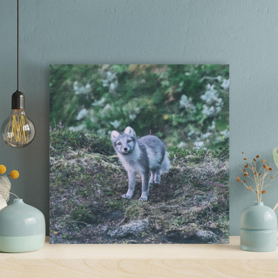«Gray and White Fox On Top Of Mountain», reproduction d'art graphique sur toile tendue carrée 1 pièce