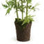 Plante artificielle à fleurs 45 po Alina