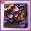 Couvre-lit floral complexe-123423721