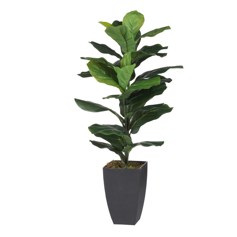 35.4'' Faux Fir Tree in Pot