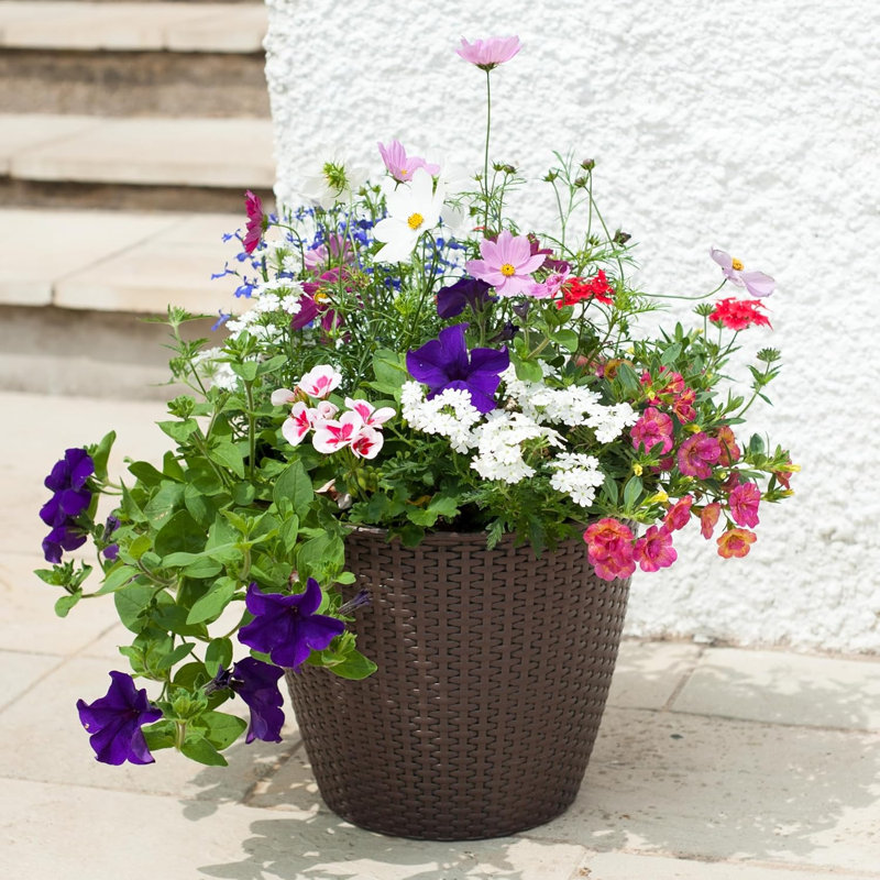 Cemone Pot Planter