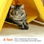 Tente pour chat Chantea-818646170