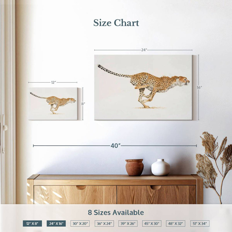 Chat sauvage Brampt