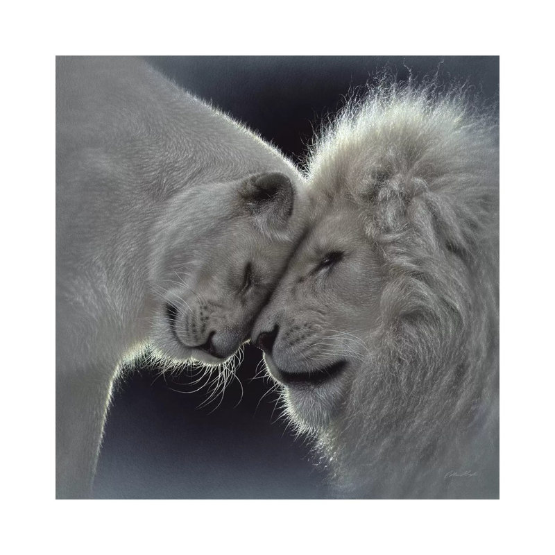 «White Lion Love» par Collin Bogle Print, H 26 po x l 26 po x P 1,5 po, Toile tendue