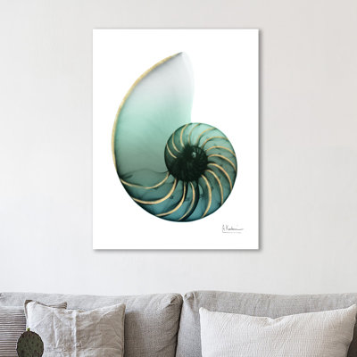 Shimmering Snail 4 - Wrapped Canvas Print