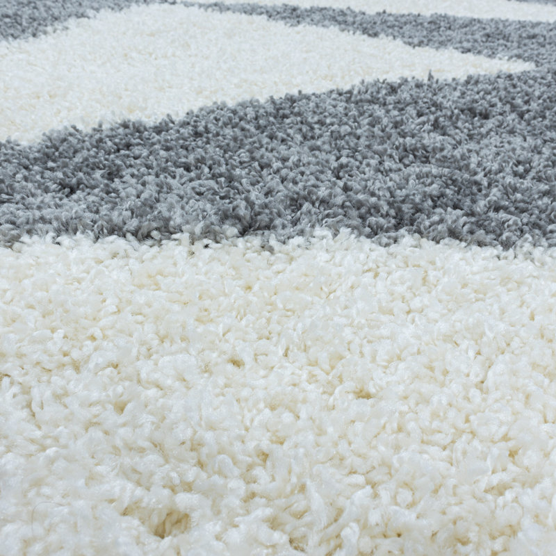 Tappahannock Shag Area Rug, Rectangle 280 x 370cm