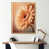 Gold Floater Framed Canvas