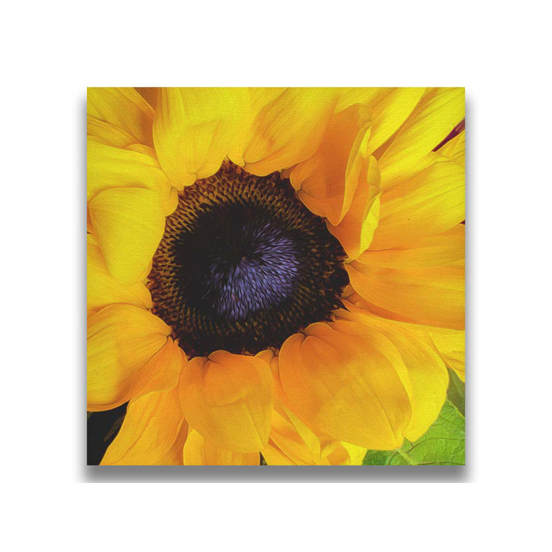 You Are My Sunshine par Hal Halli. Impression sur papier - Montée et encadrée, H 34 po x l 34 po