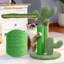 Grattoir pour chat Oasis Series