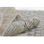 Berkeley Hand Knotted Wool And Cotton Ivory Area Rug 4'' X 6''-68957444