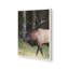 «Cherokee Elk I» par Lori Deiter, reproduction d'art-1535362085-1535362111-1535362105