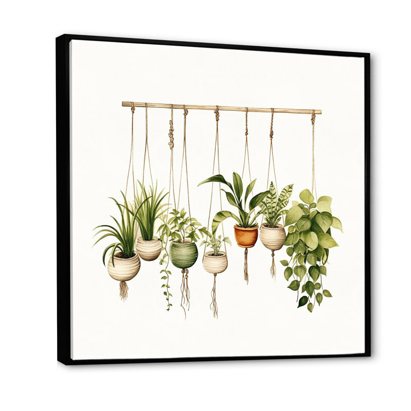 Impression sur toile de plantes botaniques suspendues, Cadre flottant noir, H 16 po x l 16 po x P 1 po