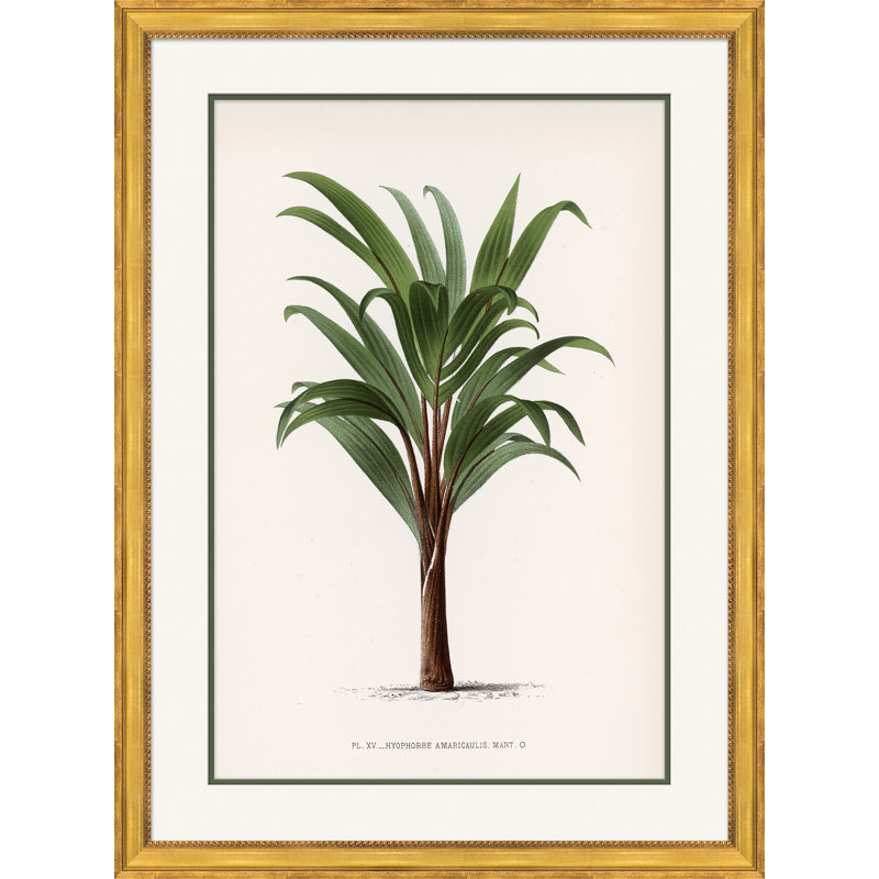 Cadre photo «Palms 5»
