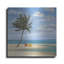 «Inlet Palm I» par Paul Brent-730029404