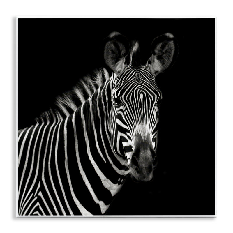 «Jungle Zebra Portrait» par Susan Bryant