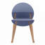 Ensemble de 4 chaises bleues grises avec pieds en bois de chêne rouge et siège en PP, parfait pour les salles à manger et les salons intérieurs-1599203682