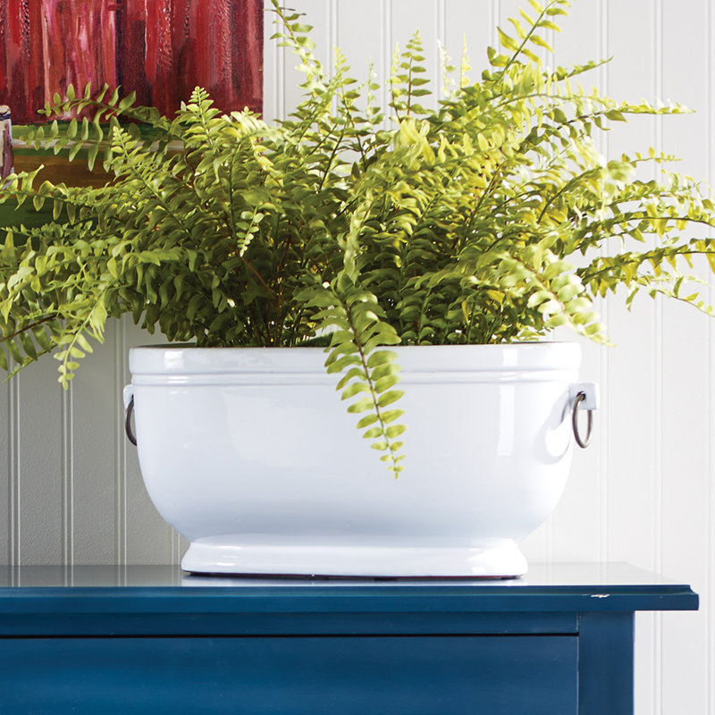 Cache-pot Killam