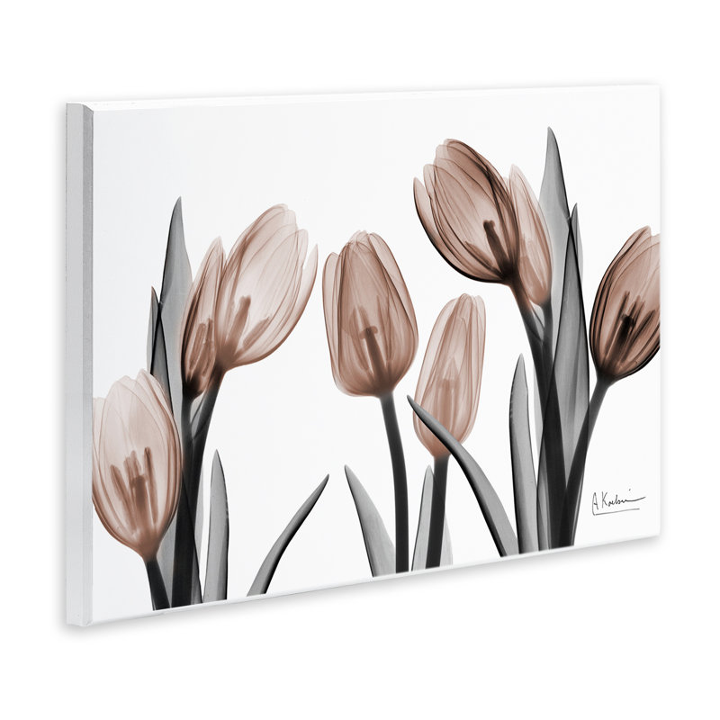 Moka et tulipes découvertes, art mural Albert Koetsier, H 13 po x l 19 po