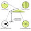 304.8cm Cantilever Parasol-607391909