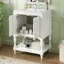 Meuble-lavabo de luxe moderne 24 po avec lavabo en céramique, armoire de salle de bain avec tablette ouverte et rangement fermé
