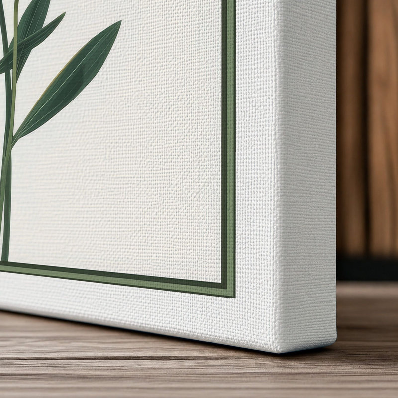 White Narcissus Study Botanical - Wrapped Canvas, 36x24 - 91.4 x 61.0 cm, White Border