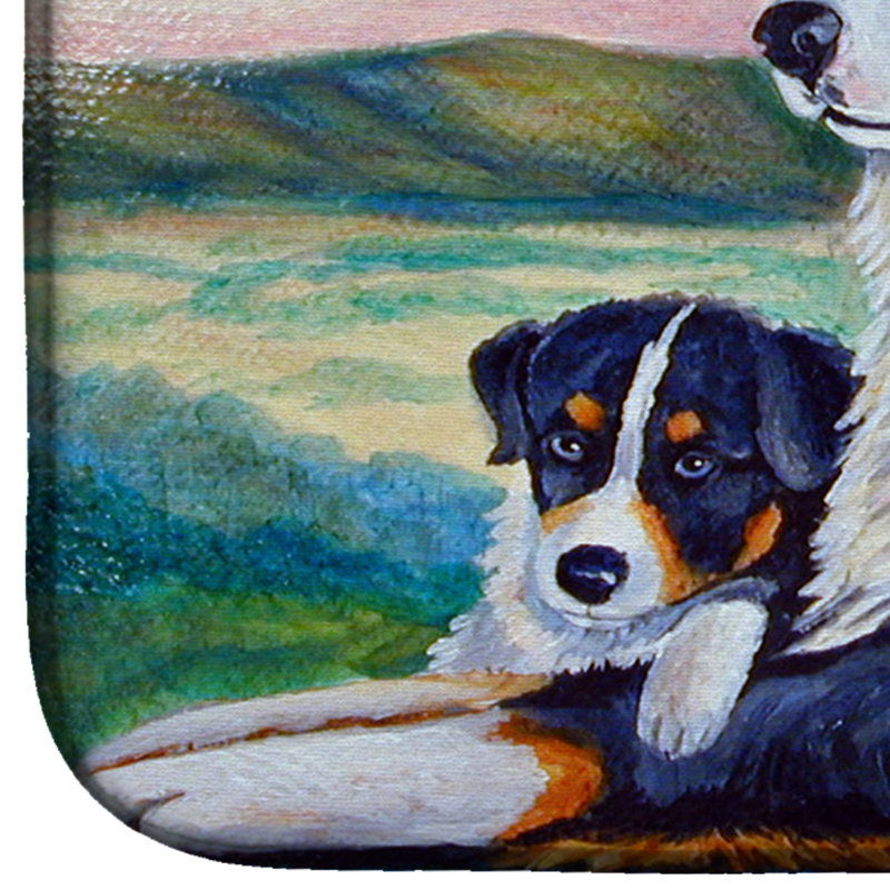 Drying Mat