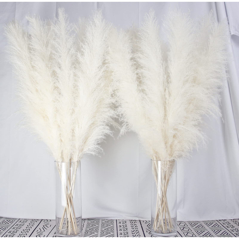 40'' Pampas Grass Grass