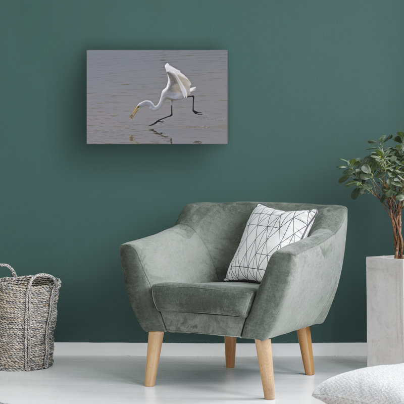 Art sur toile, aigrette bolologienne, H 22 po x l 32 po