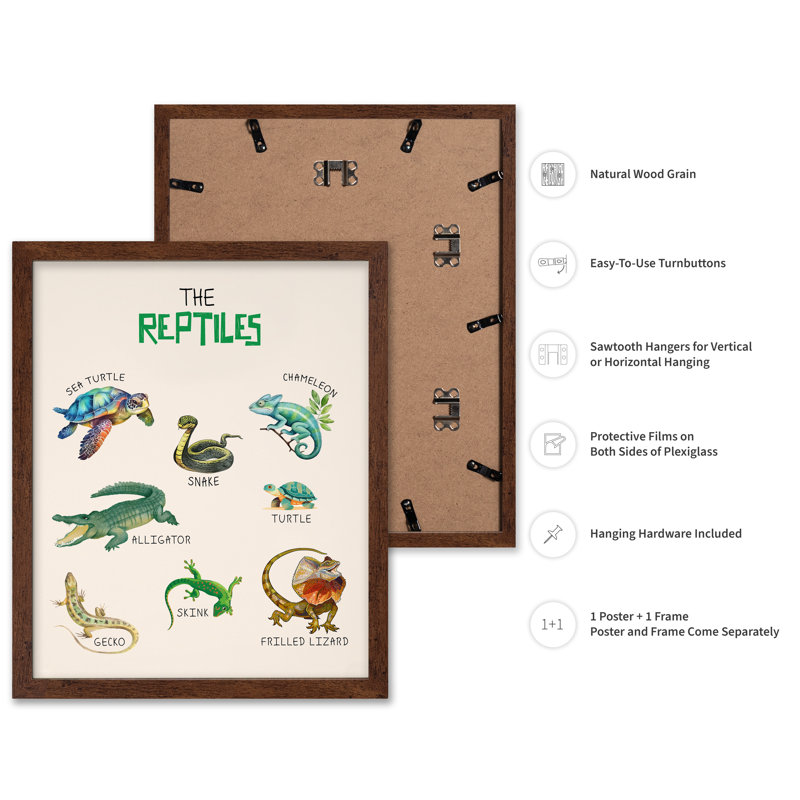 Les reptiles, Poster, 18"H x 24"W, Brown Framed