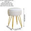 Manufactured Wood Accent Stool