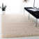Rizco Shag Performance Solid Color Rug