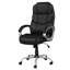 Chaise de bureau ergonomique Sealy® Kronos
