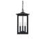 Luminaire suspendu d'extérieur 9 po Glenwood
