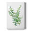 Eucalyptus III - galerie Cavas personnalisée-358258922