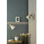Azalea Spotlight-58964988