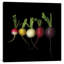« old variations »-reproduction de photo sur toile tendue-2053346325-2053346324-2132146440