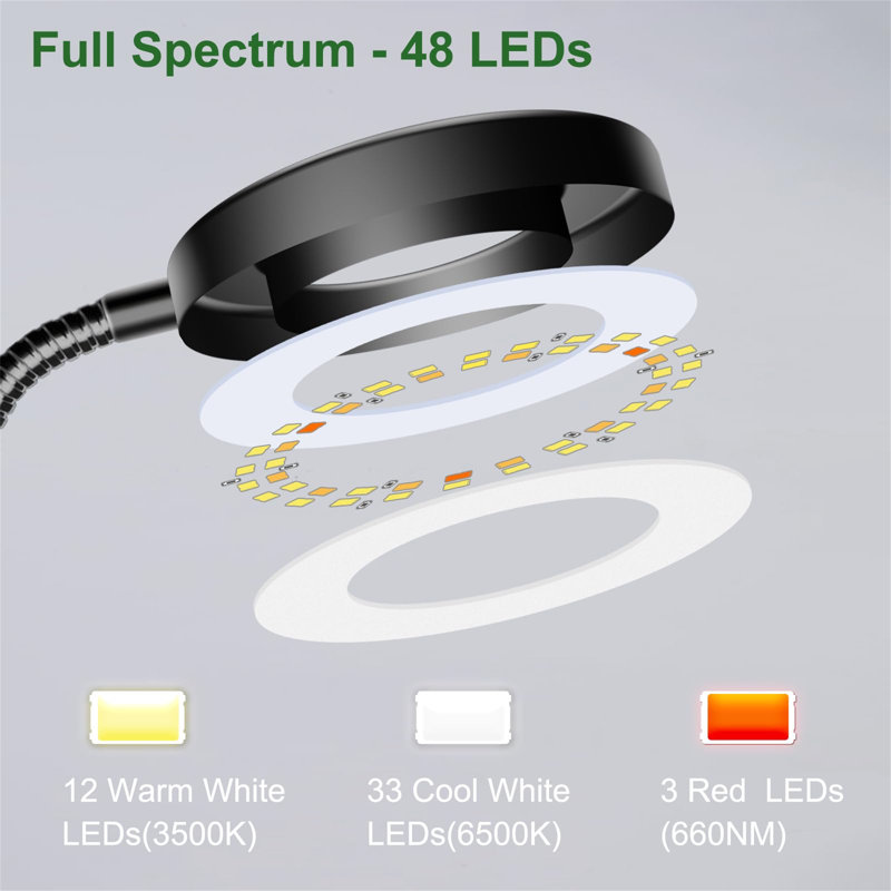 Naomi Grow Light
